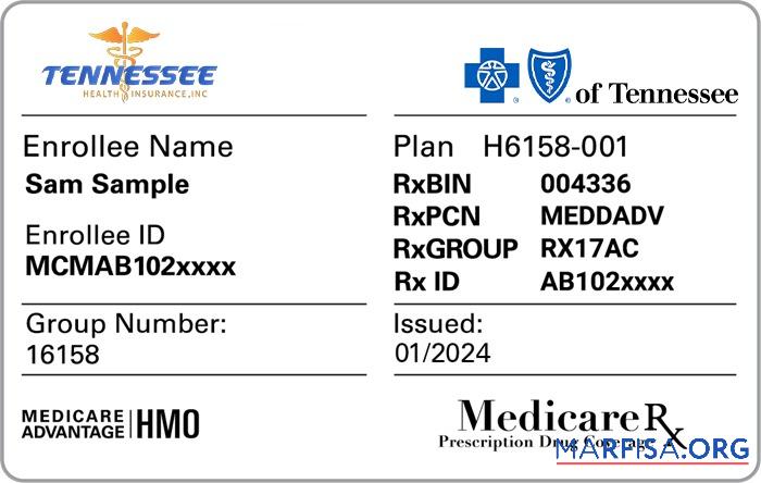 Blank Tennessee health insurance card real example